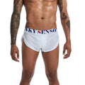 Mesh nylon men's boxer briefs in black, white, grey and wine red colours showing mid waist design