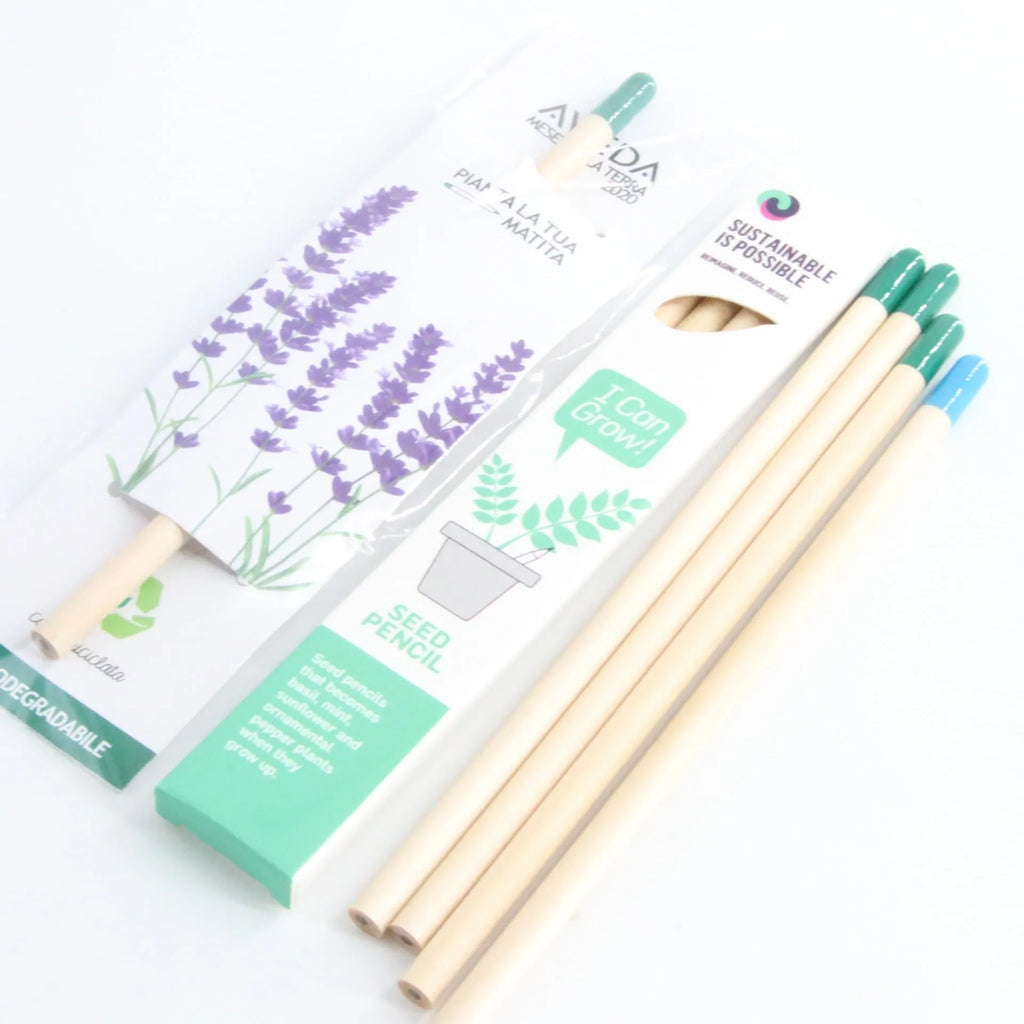 Seed Pencil with coloured degradable capsule tip containing a plant seed, alongside HB refill.