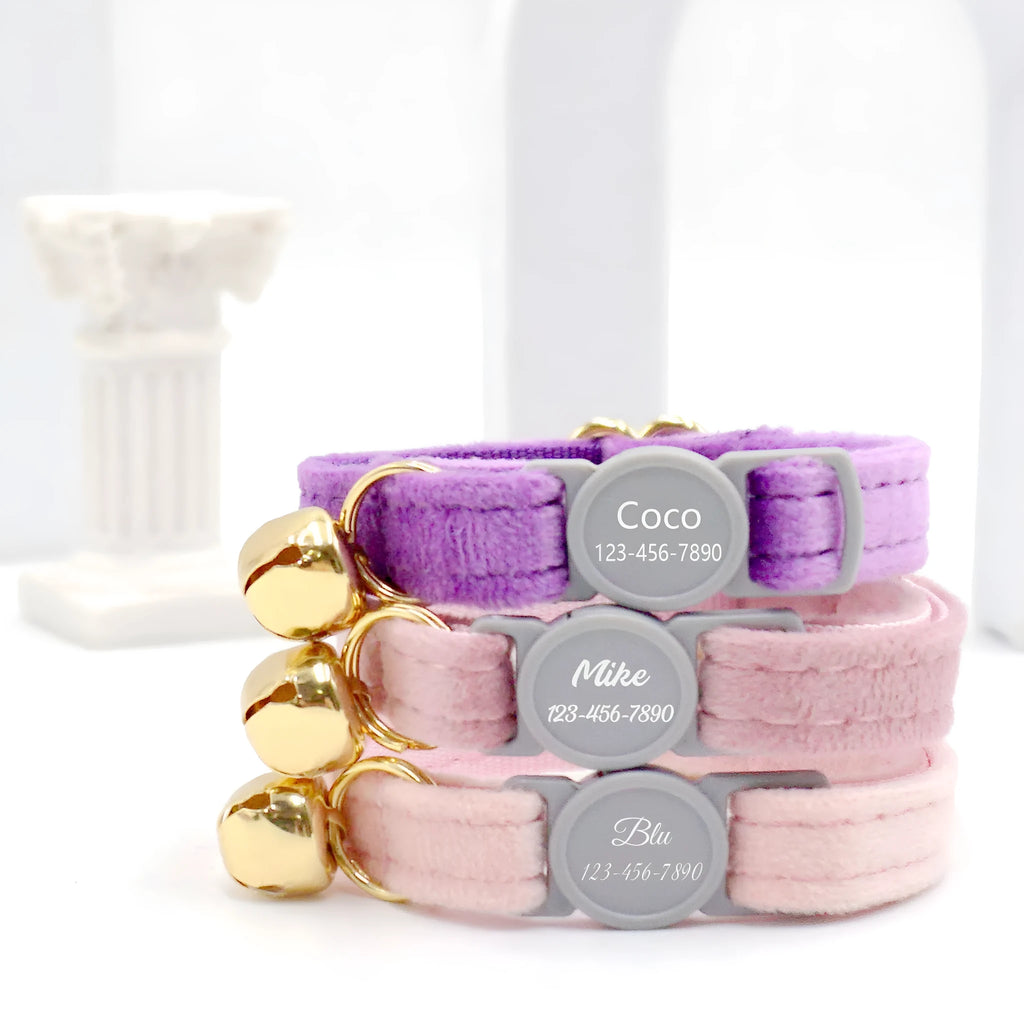 Cat collar with safety buckle and bell, available in corduroy or velvet, in multiple colours for small cats.