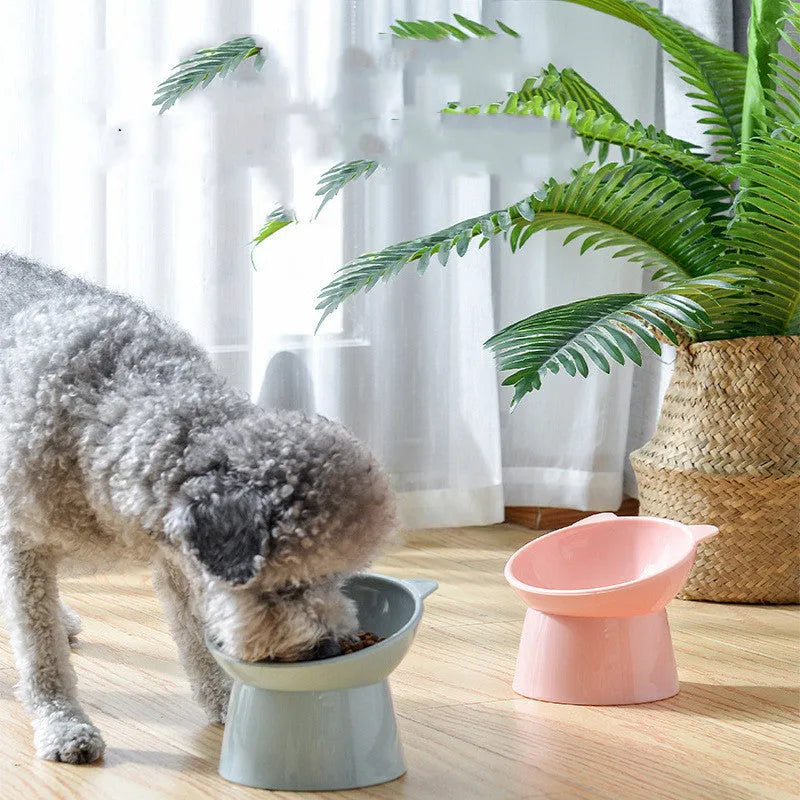 Nordic style oblique high bowl for cats in light green with smooth inner wall