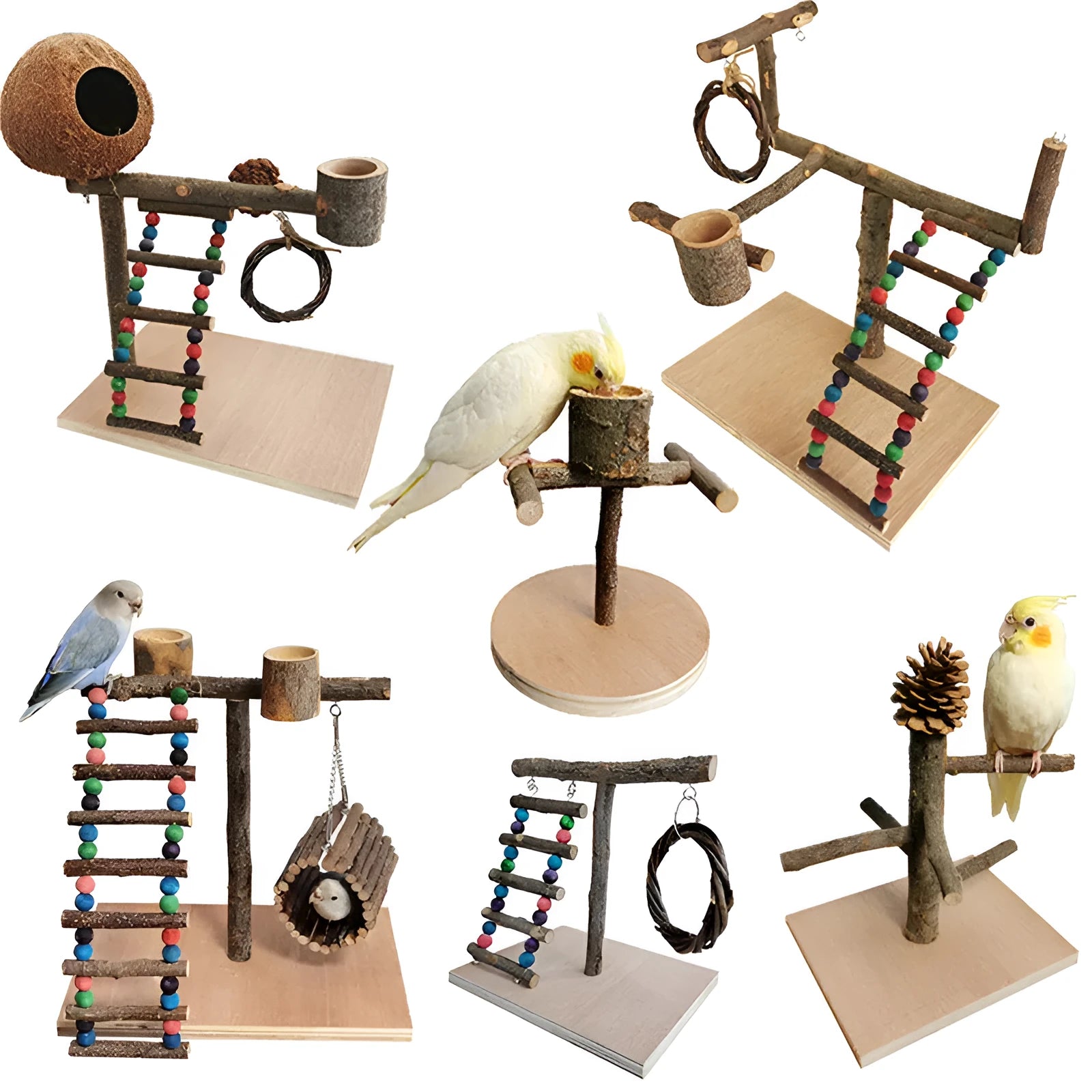 Solid wood parrot station training shelf with six size options for perching and feeding