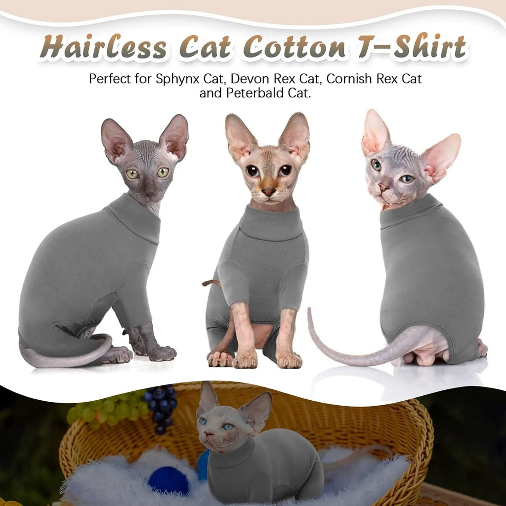 Grey sphynx cat wearing soft turtleneck sweater with two leg openings for winter warmth