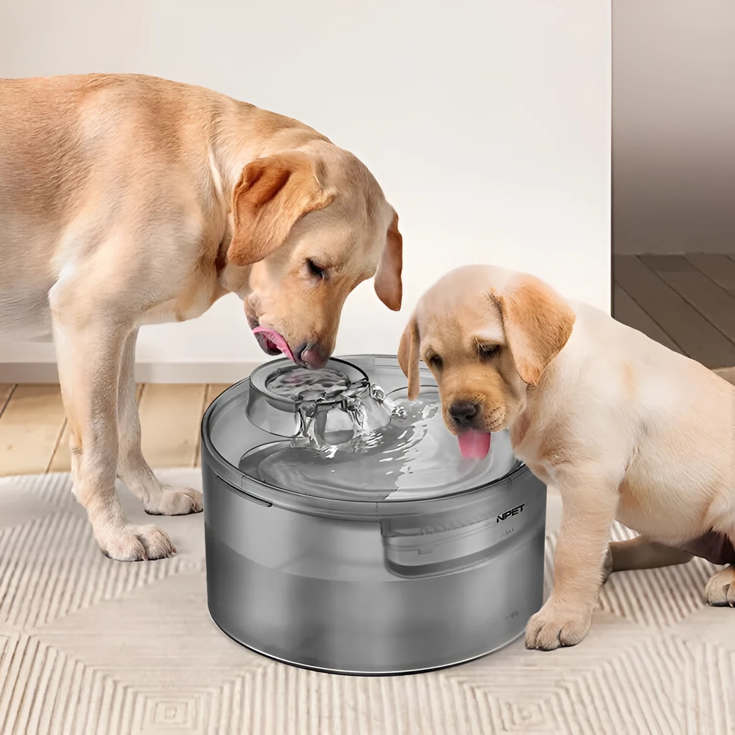 Automatic pet water dispenser with circulation system and filter cartridges