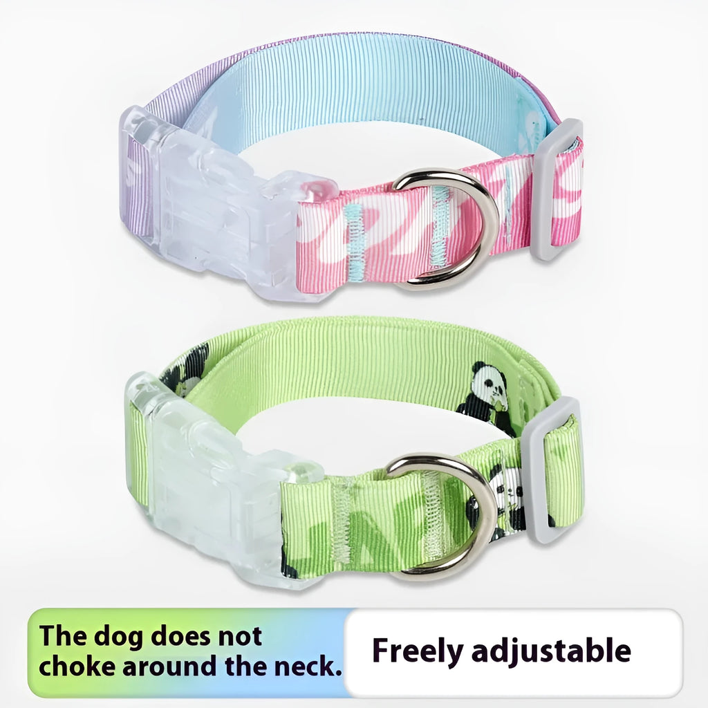 Adjustable nylon dog collar with vibrant cartoon gradient colours and a metal buckle on a green background.