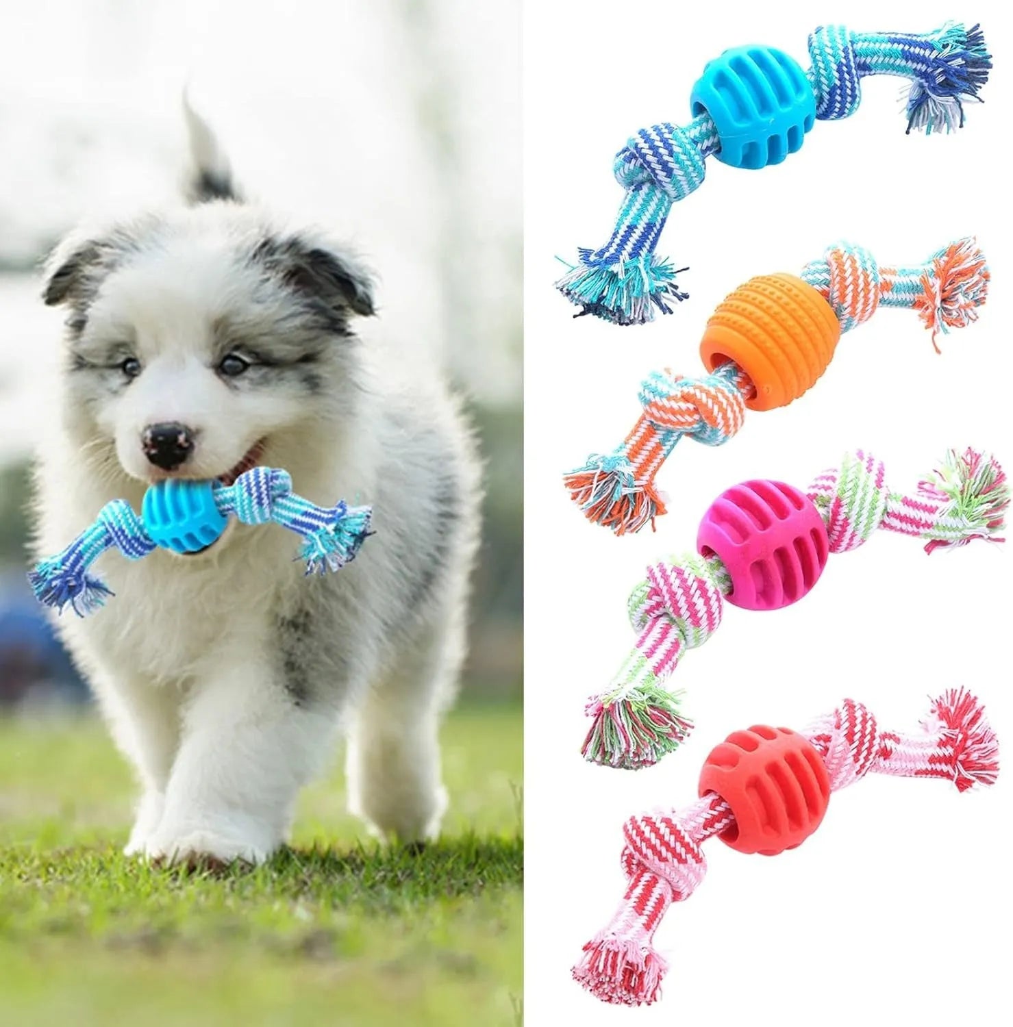 Blue molar-shaped dog chew toy with an integrated rope for dental care and play.