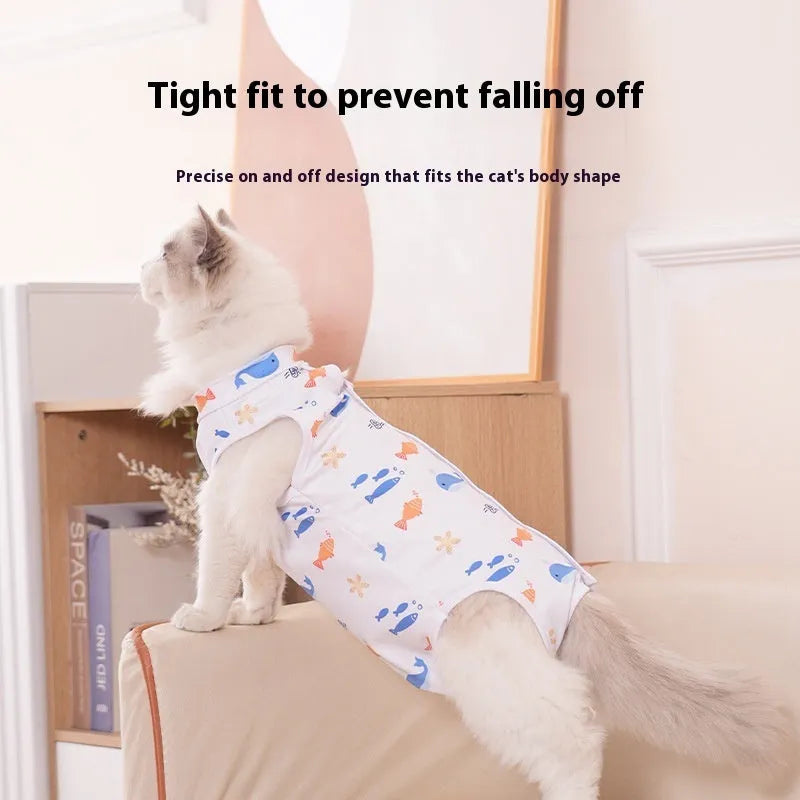 Cat wearing a printed polyester recovery suit with Velcro closures after sterilisation surgery.