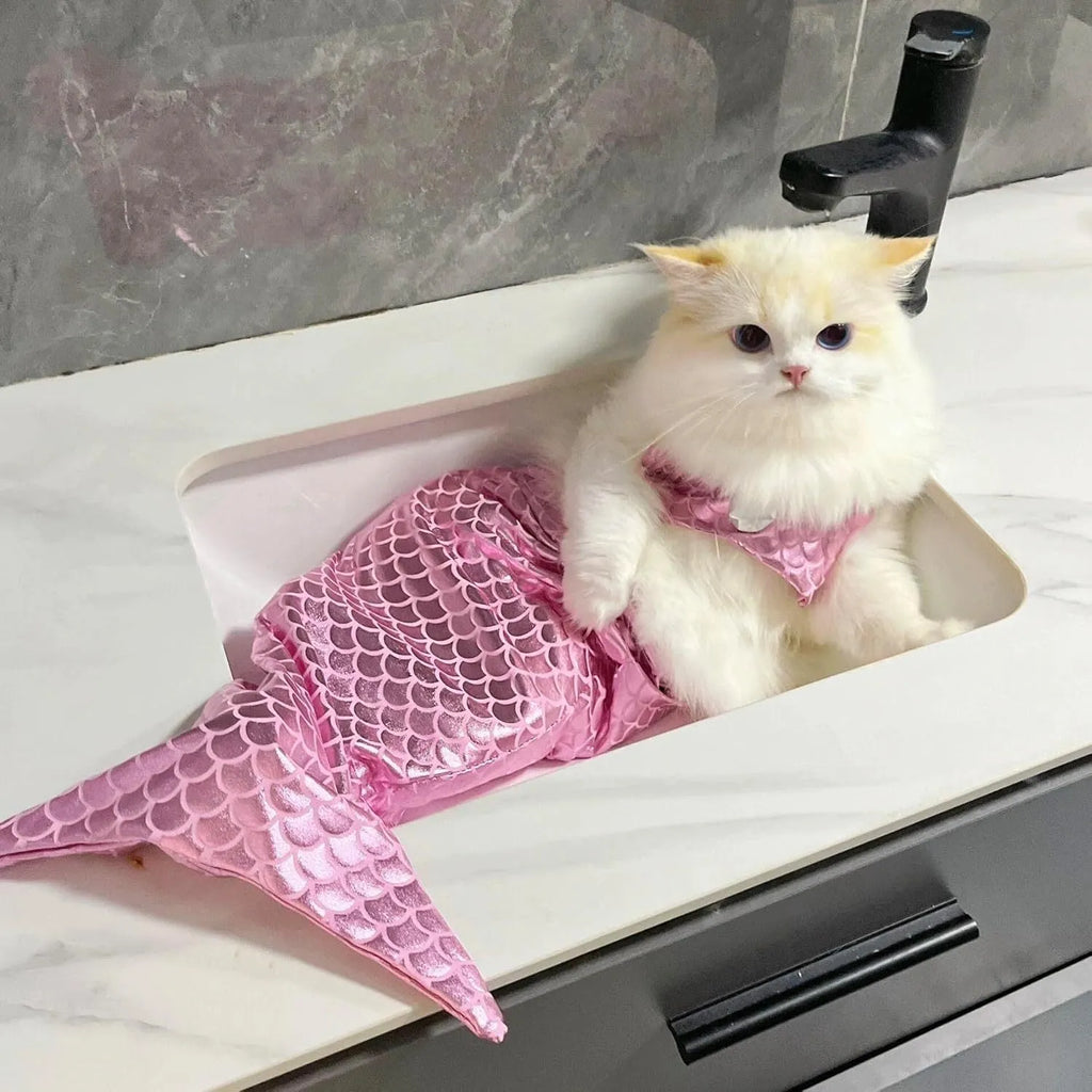 Blue pet mermaid costume with scale pattern fishtail on a small cat