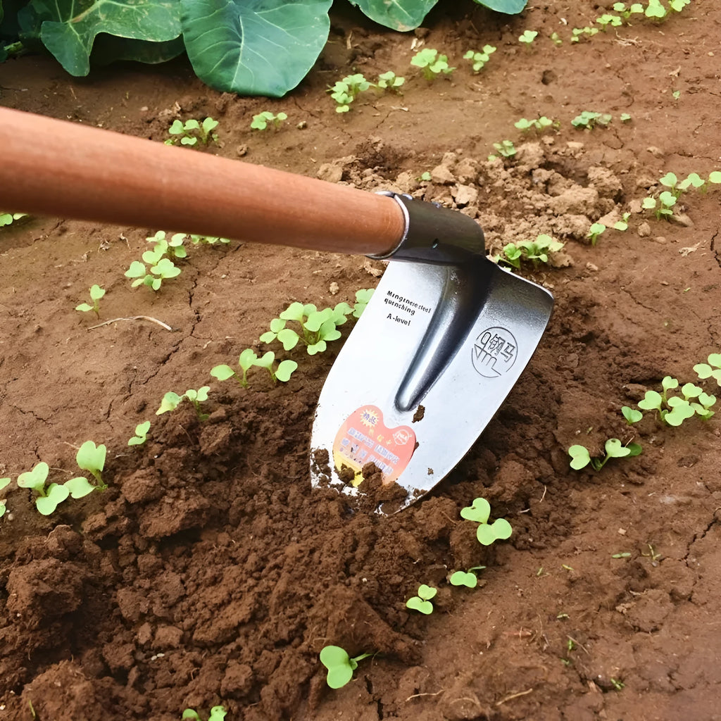 Agricultural pointed hoe tool with a stainless steel head for soil breaking and weeding.