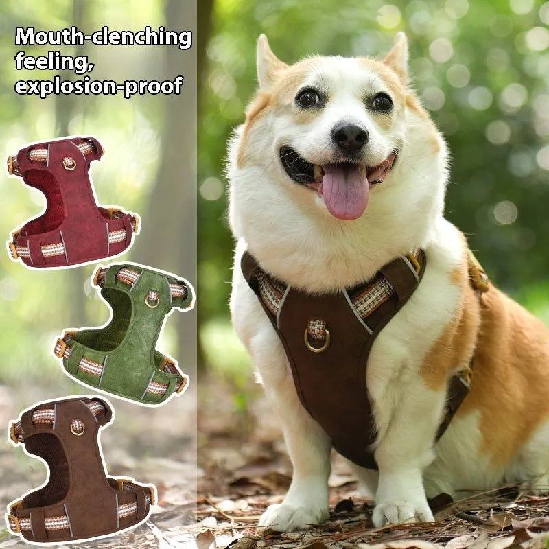 Brown leather dog harness with reflective strips showing buckle closure and adjustable chest strap