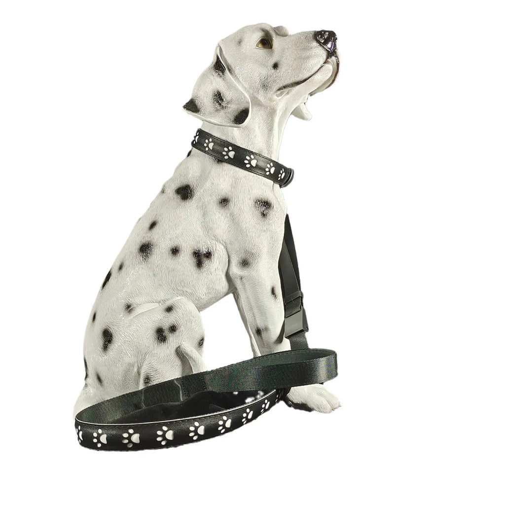 A dog wearing a black polyester collar with a lit strip of multi-coloured LED lights.