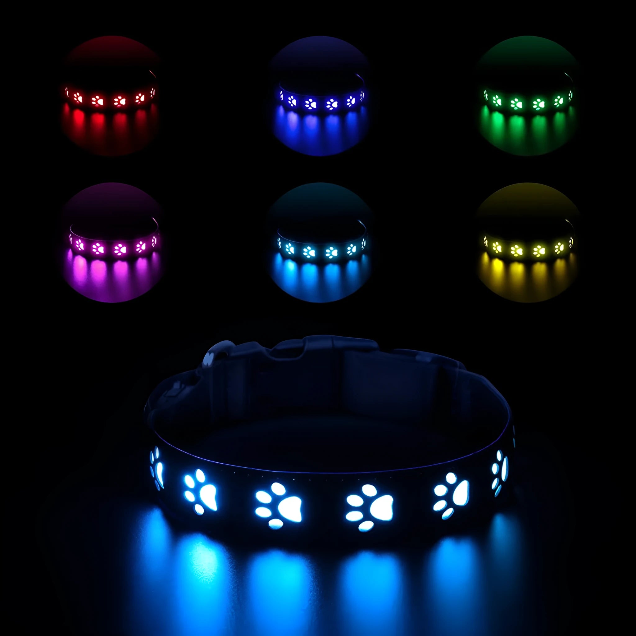 A dog wearing a black polyester LED collar with a paw print pattern, lit up with colourful lights.