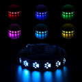 LED luminous dog collar showing seven colour modes on a black polyester band with USB charging cable.