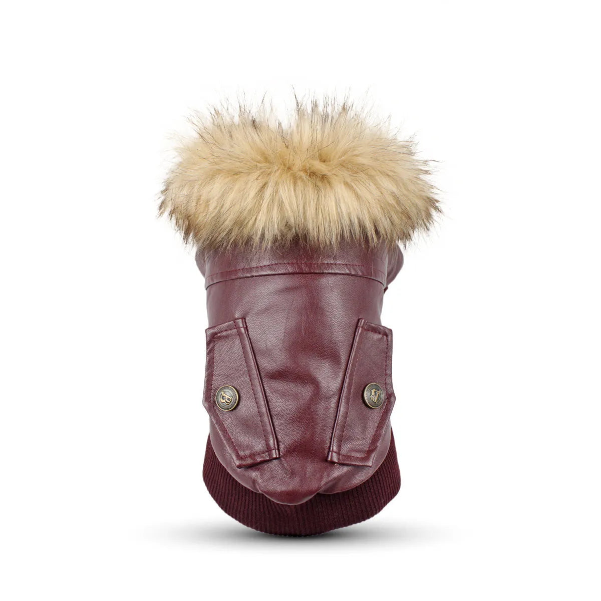 British-style leather dog coat with fur collar in black colour shown on medium-sized dog