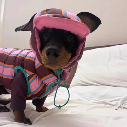 Dirty pink striped pet vest with matching hat for autumn and winter wear