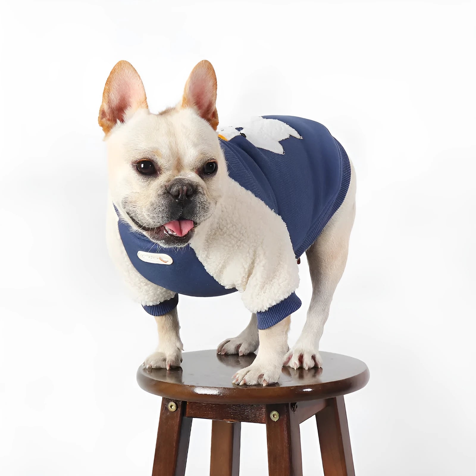 Dark blue fleece-lined cotton winter jacket for large dogs on a white background