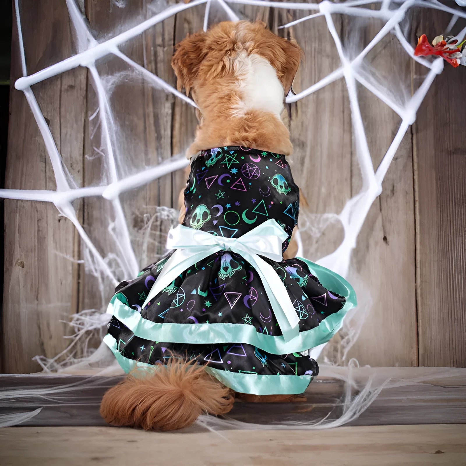 Halloween pet skirt for dogs with double-layer design and colourful pumpkin print.