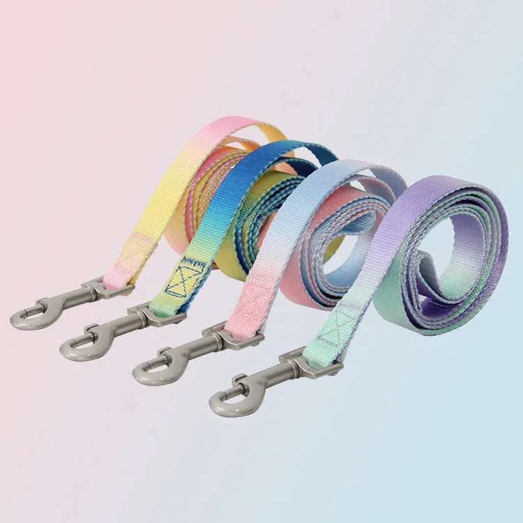 Gradient colour nylon dog leash showing pink-blue pattern with collar attachment