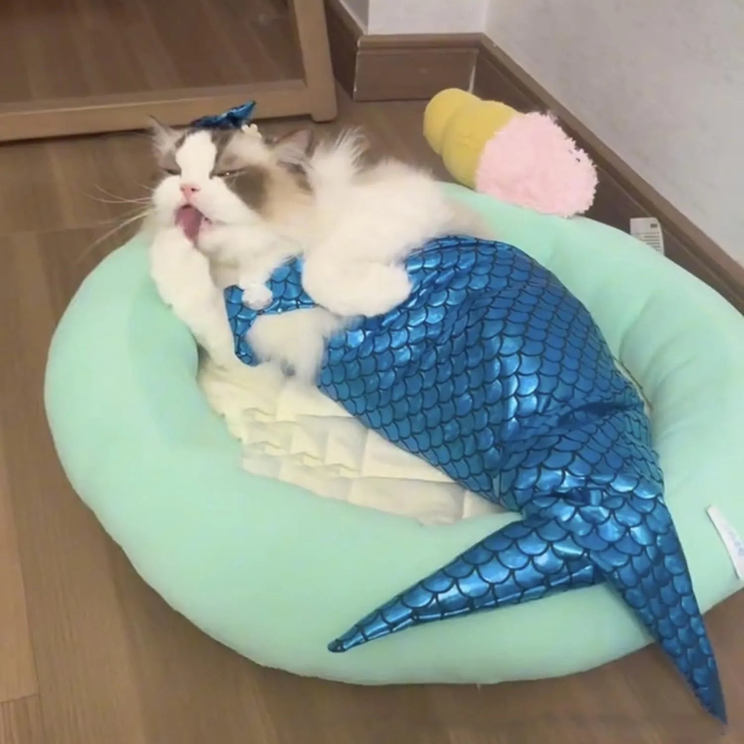 Blue pet mermaid costume with scale pattern fishtail on a small cat