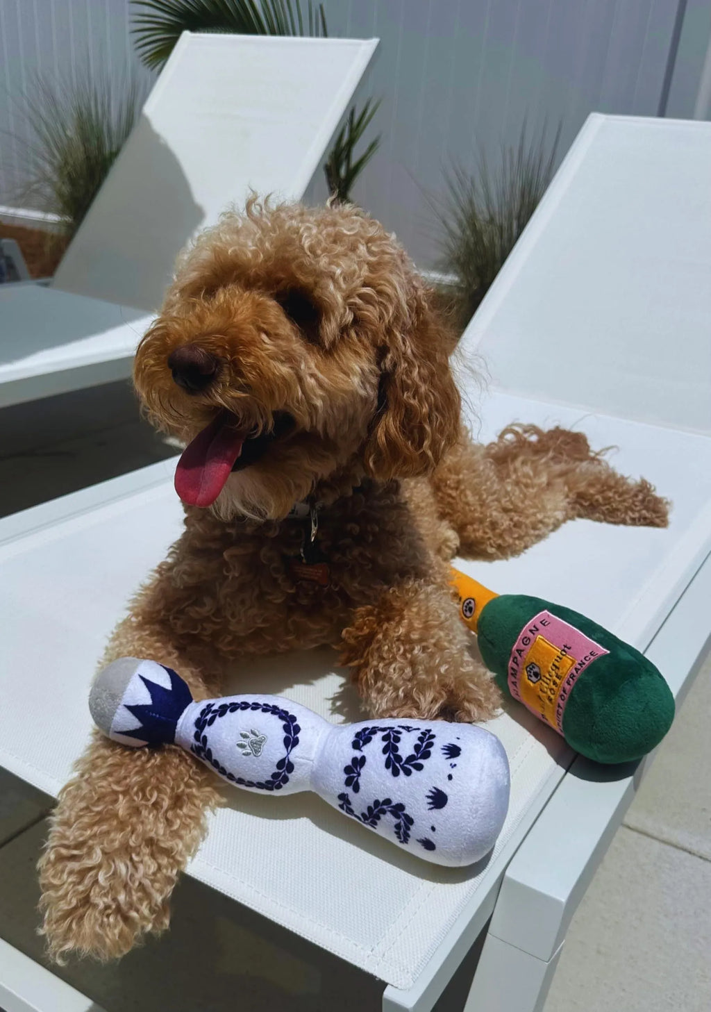 Red and white tequila bottle plush dog toy with squeaker for dogs of all sizes