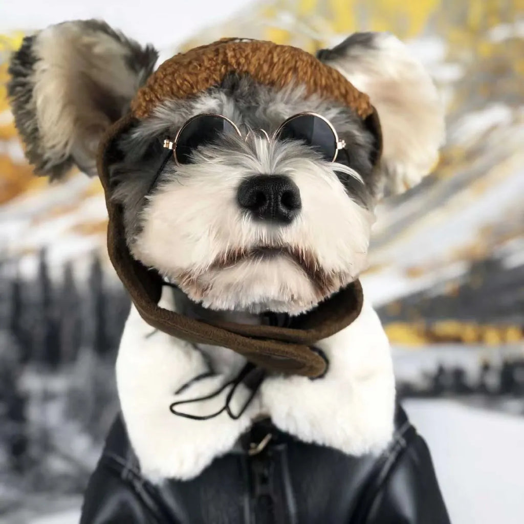 Leather dog winter jacket in black and brown colours with vest style option