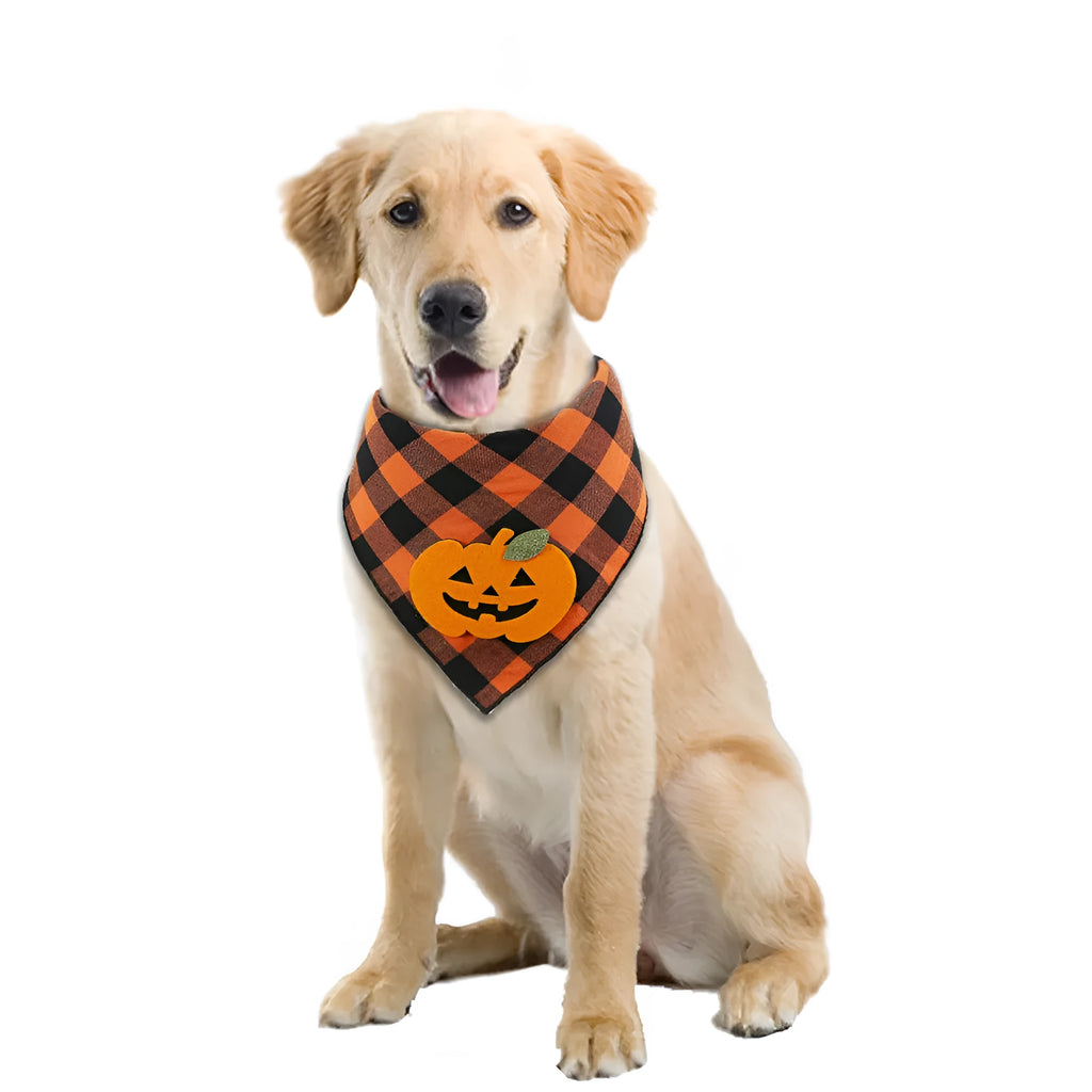 Orange Halloween dog bandana with pumpkin appliques and skeleton print on plaid fabric