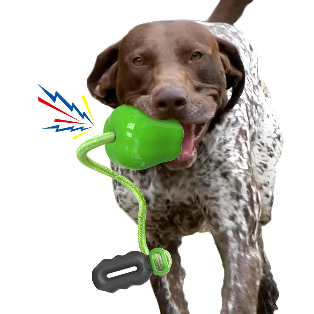 Plastic pet food dropping ball dog molar toy in green and red colour options