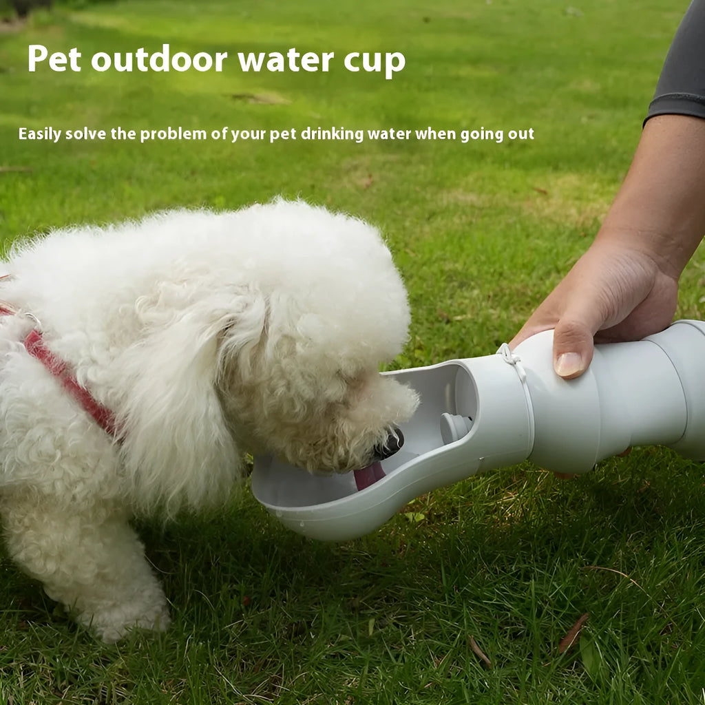 Collapsible silicone pet drinking cup folded and unfolded showing portable design