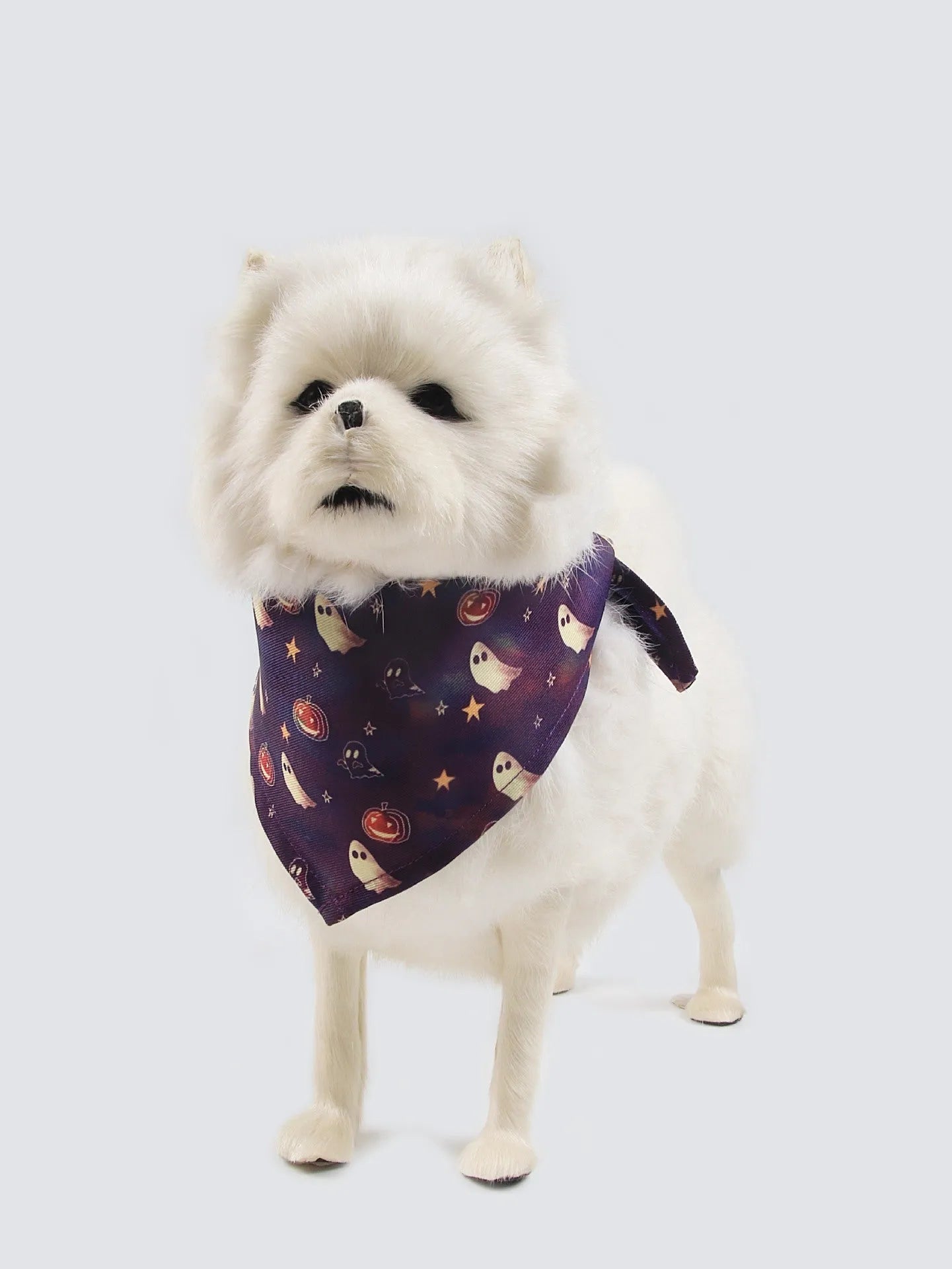 Fleece-lined dog coat with polyester fabric and triangle scarf in European American style patterns
