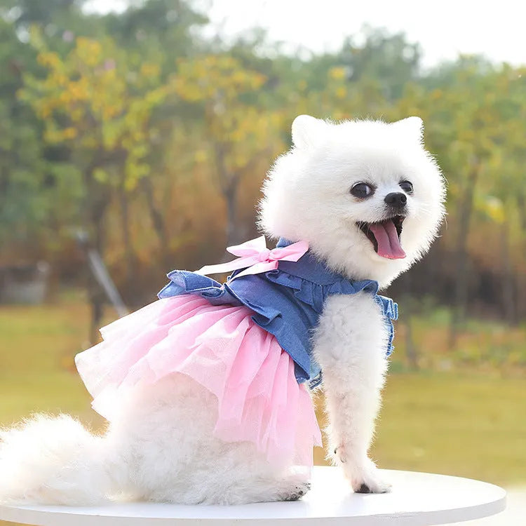 Korean pet denim skirt with creative bow design on a dog model