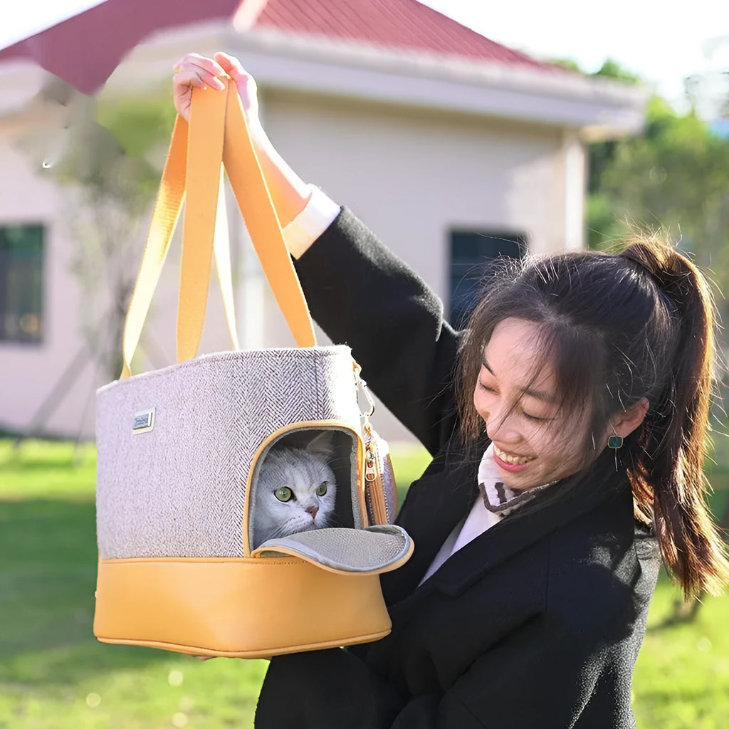 Portable pet backpack in wool PU material with space capsule design for breathable pet transport