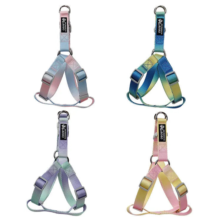 Gradient colour nylon dog leash showing pink-blue pattern with collar attachment