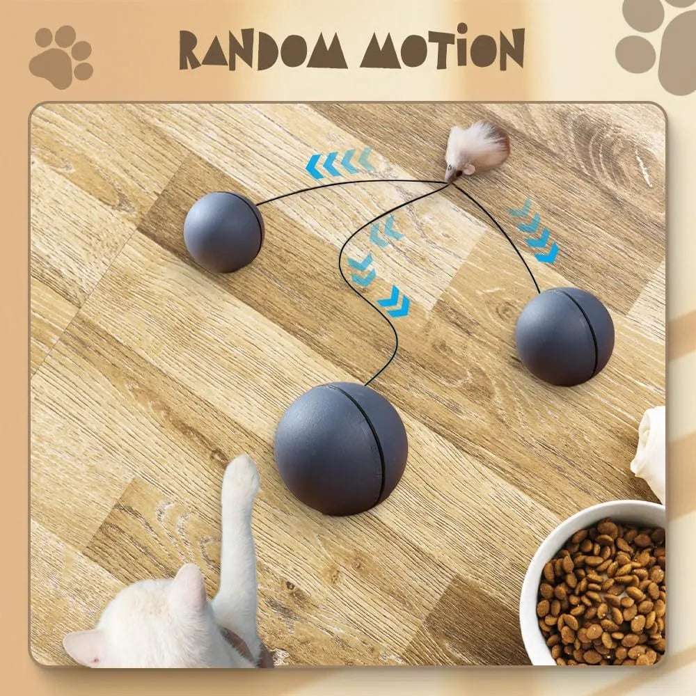 Blue orange and grey automatic rolling electric ball toy for cats and dogs on a hardwood floor