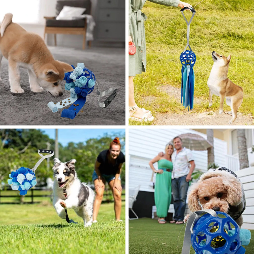 TPR hollow pet ball with bell in five colours: black, blue, green, red, yellow