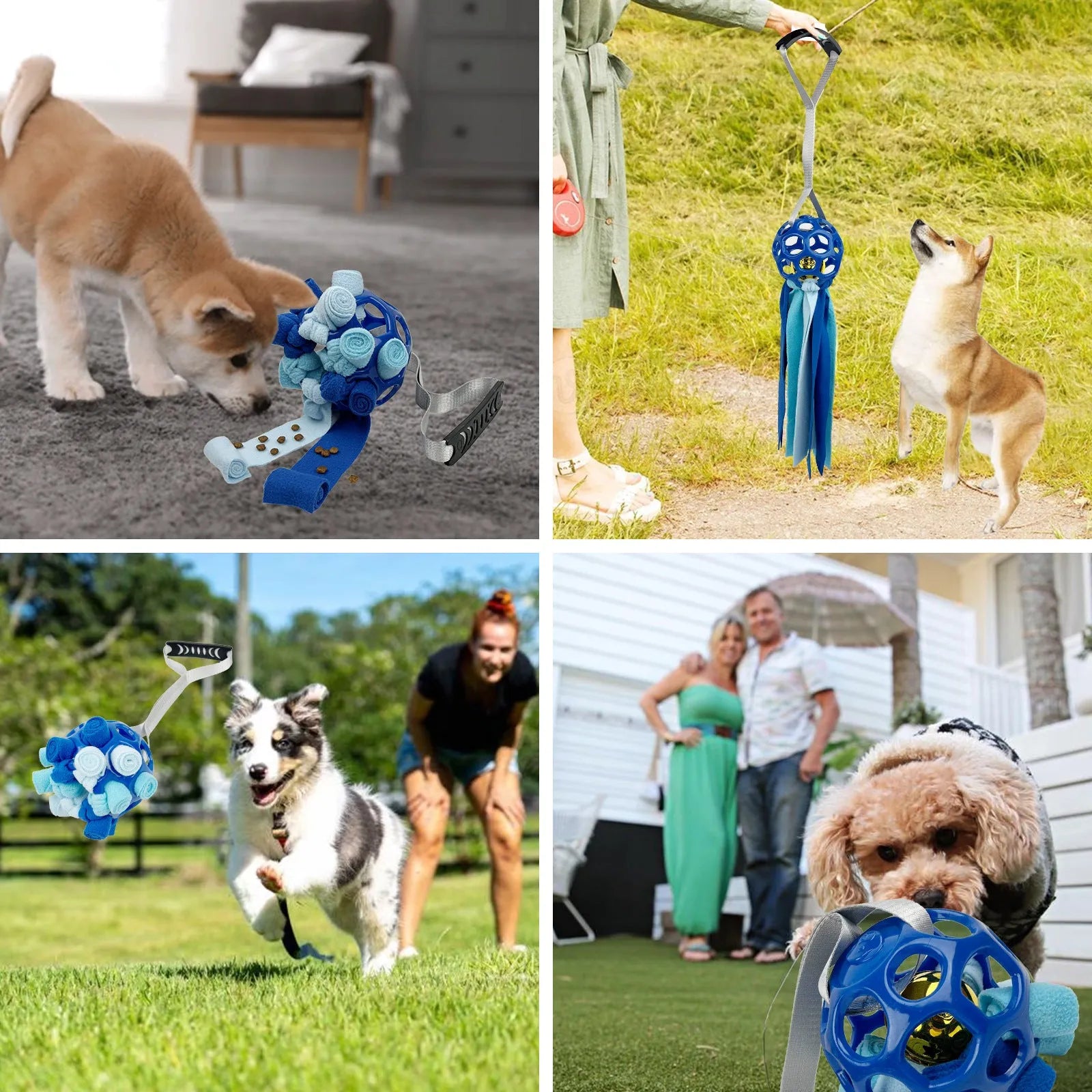 TPR hollow pet ball with bell in five colours: black, blue, green, red, yellow