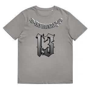 Straight loose fit cotton short sleeve t-shirt on a hanger, shown in a colour option.