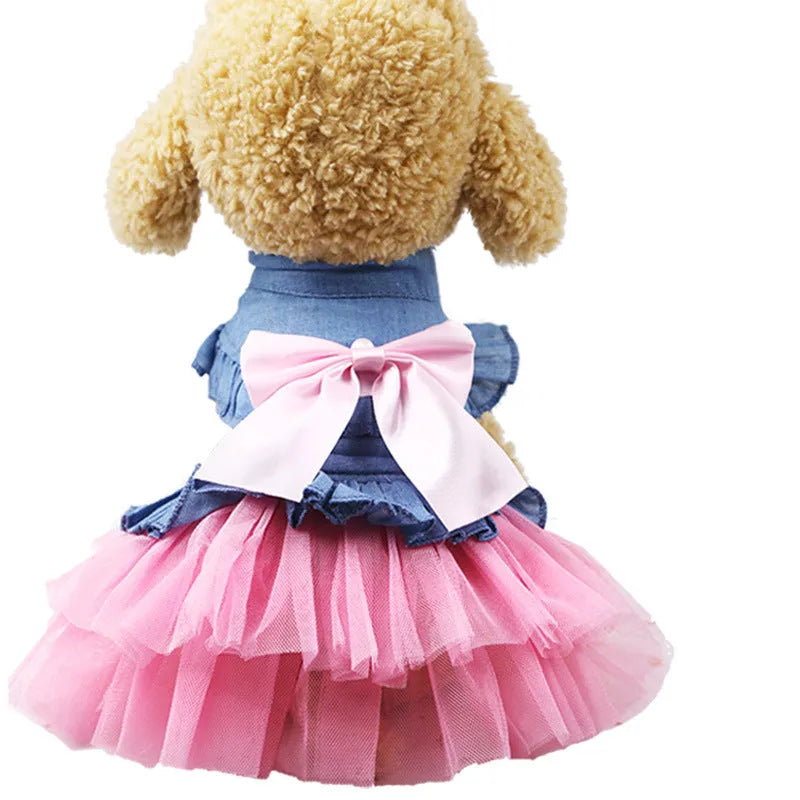 Korean pet denim skirt with creative bow design on a dog model