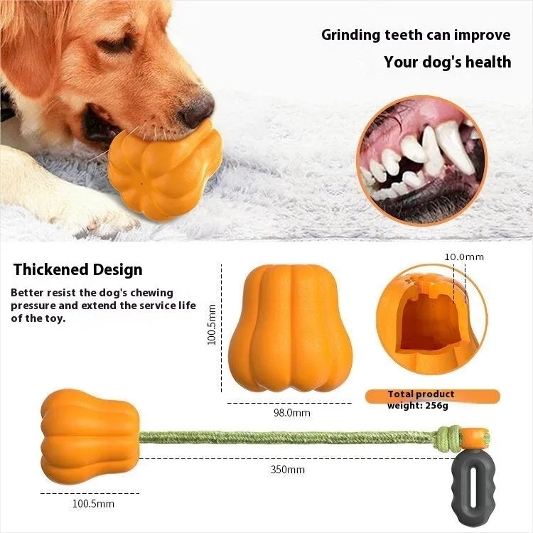 Orange plastic Bite Molar dog chew toy with an integrated rope for throwing.