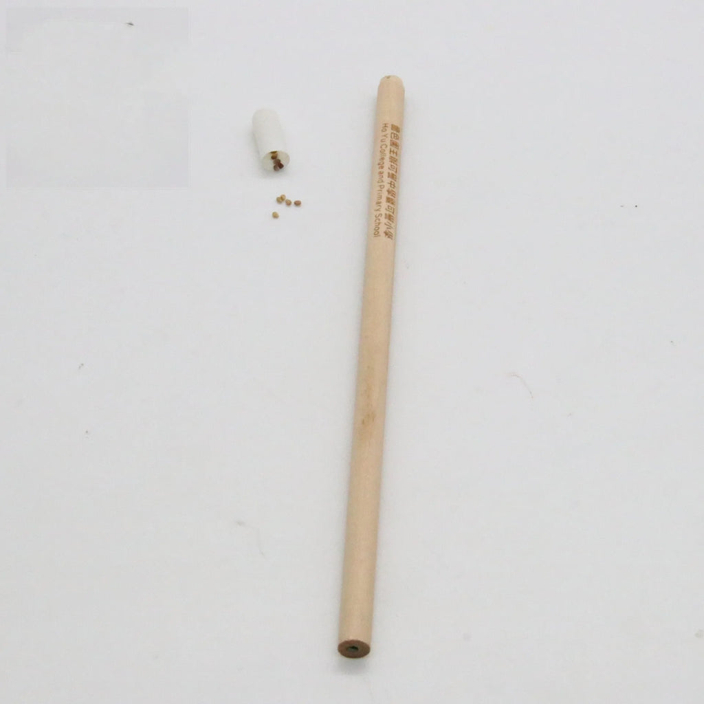 Seed Pencil with coloured degradable capsule tip containing a plant seed, alongside HB refill.