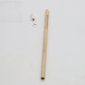 Seed Pencil with coloured degradable capsule tip containing a plant seed, alongside HB refill.