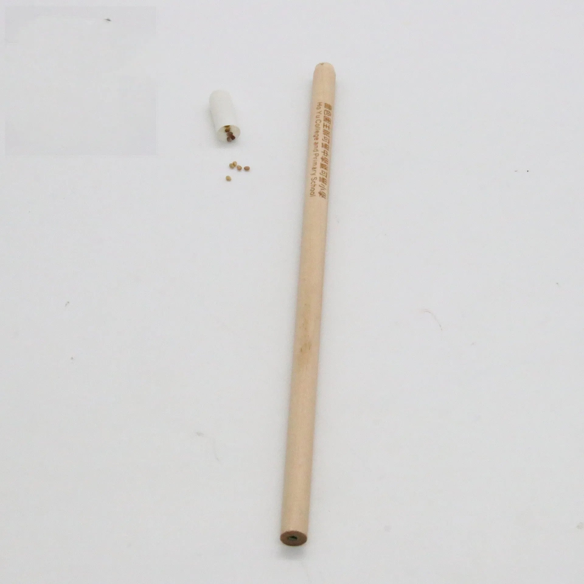 Seed Pencil with coloured degradable capsule tip containing a plant seed, alongside HB refill.