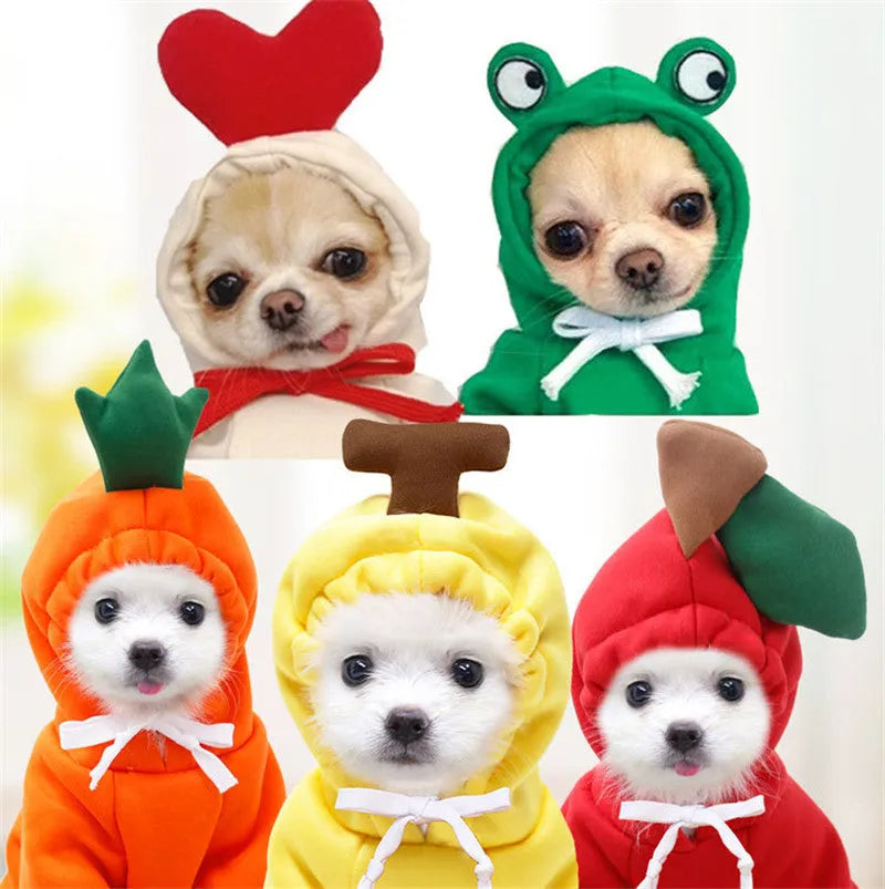 Cute fruit dog hoodie with drawstring apple design on a small Chihuahua, warm winter fleece coat in soft cloth fabric