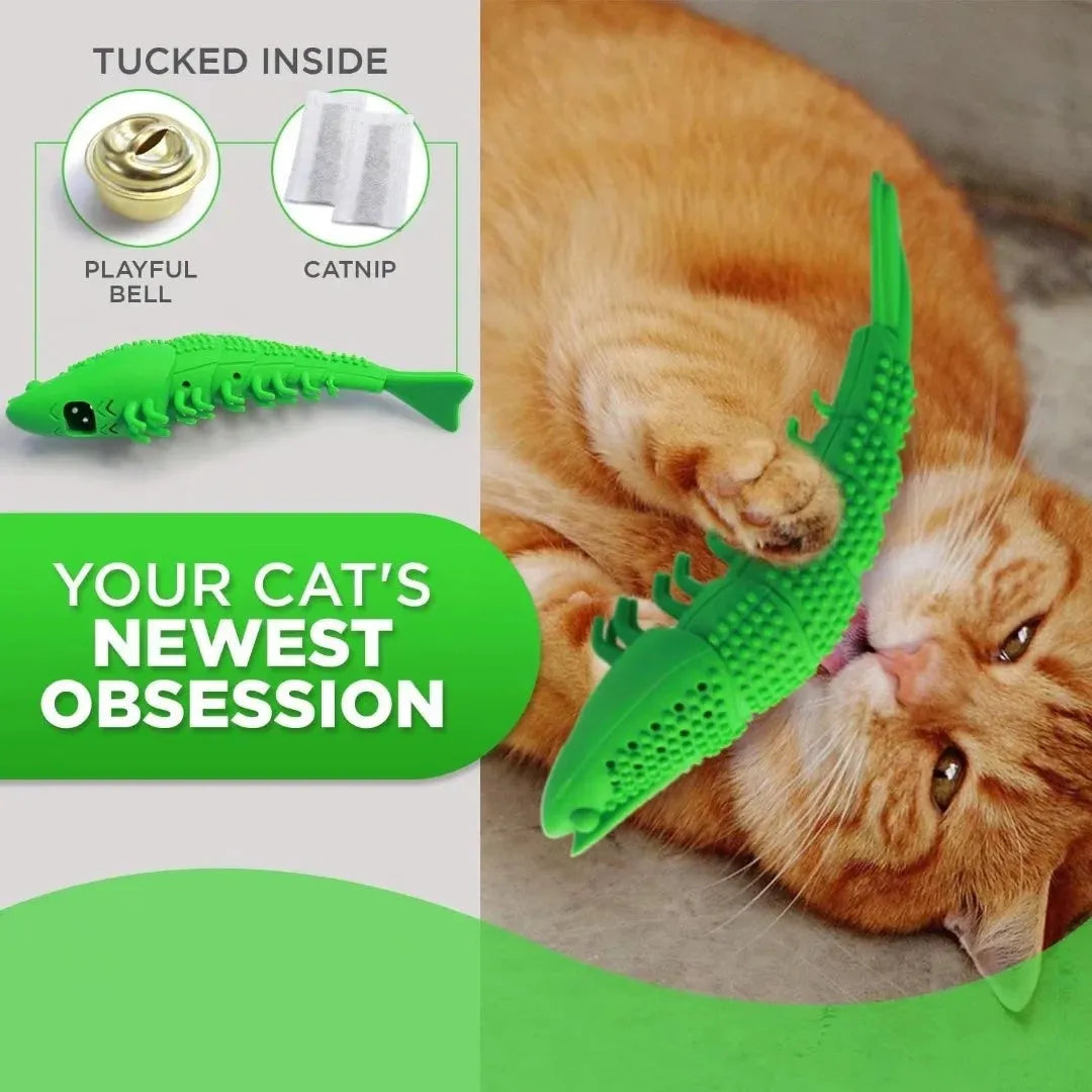 Blue hard rubber catnip toy with textured surface for feline teeth cleaning