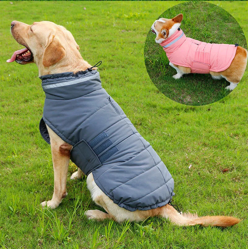 Grey waterproof warm dog trench coat for Corgi, back length 48 cm size L, on white background
