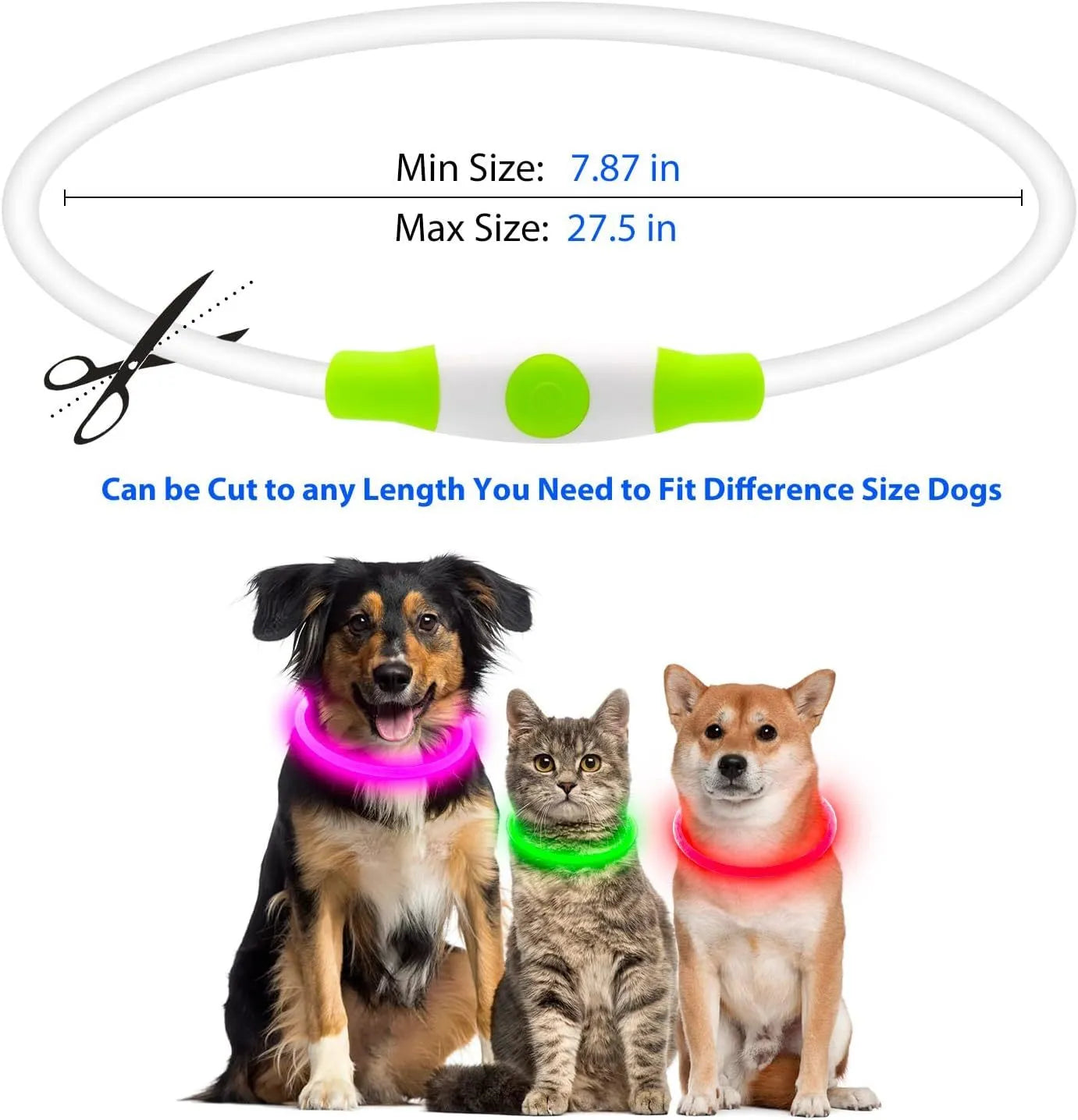 Blue rechargeable LED dog collar glowing around a dog's neck on a dark background.