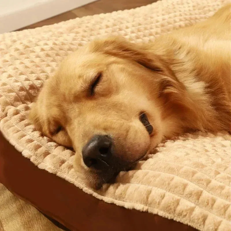 Detachable fleece blanket and cushion dog bed for pets in green colour