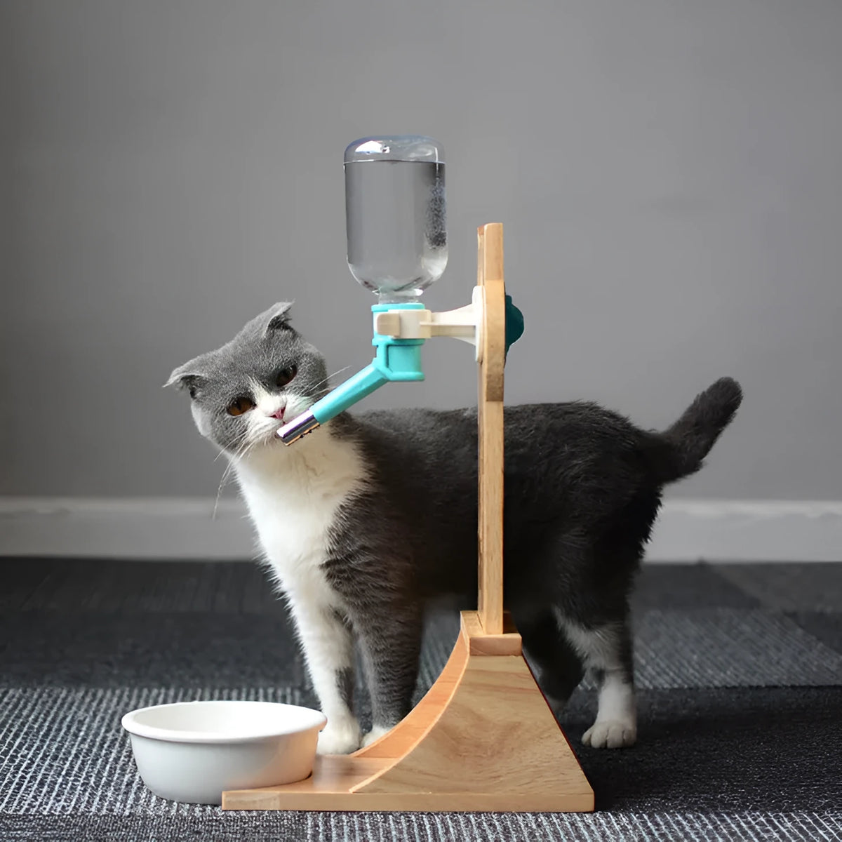Cat drinking water dispenser with 300ml plastic container on bamboo holder
