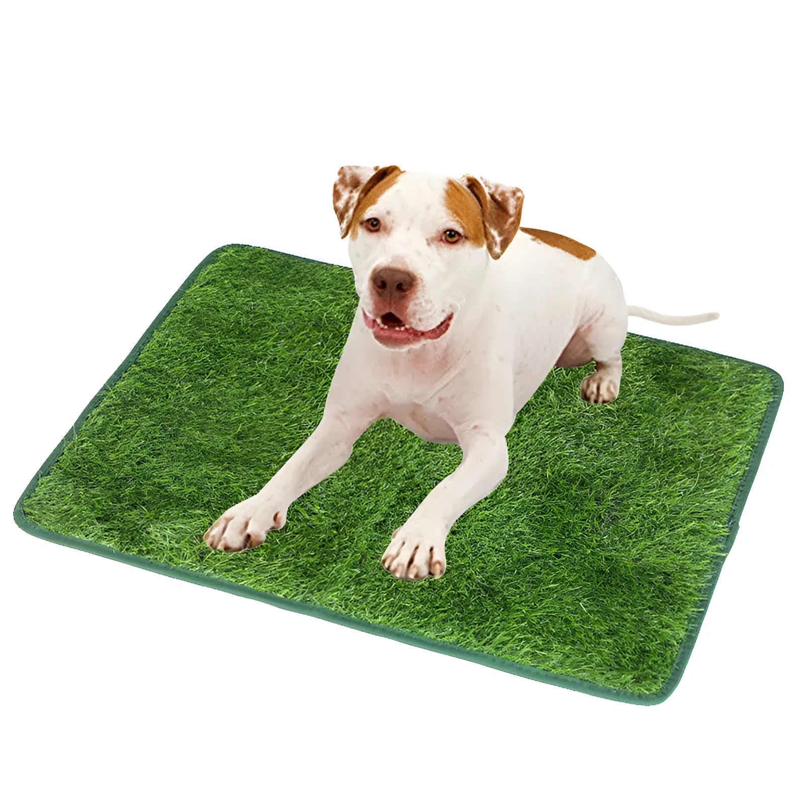 Green washable dog grass pee training mat with realistic lawn texture on a patio.