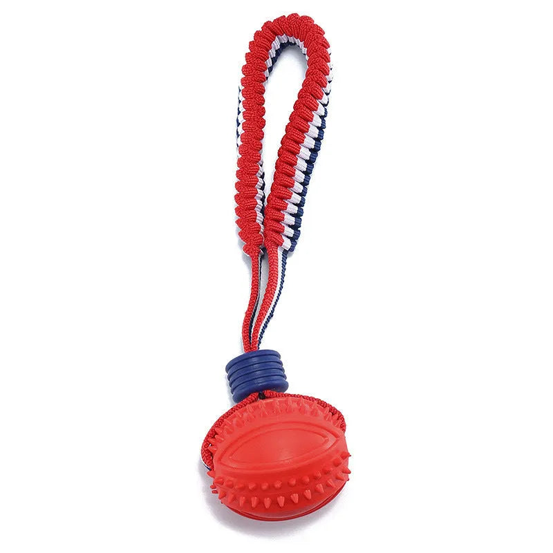 Blue rubber dog ball attached to a rope, a tug and fetch toy for small dogs.
