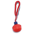 Blue rubber dog ball attached to a rope, a tug and fetch toy for small dogs.