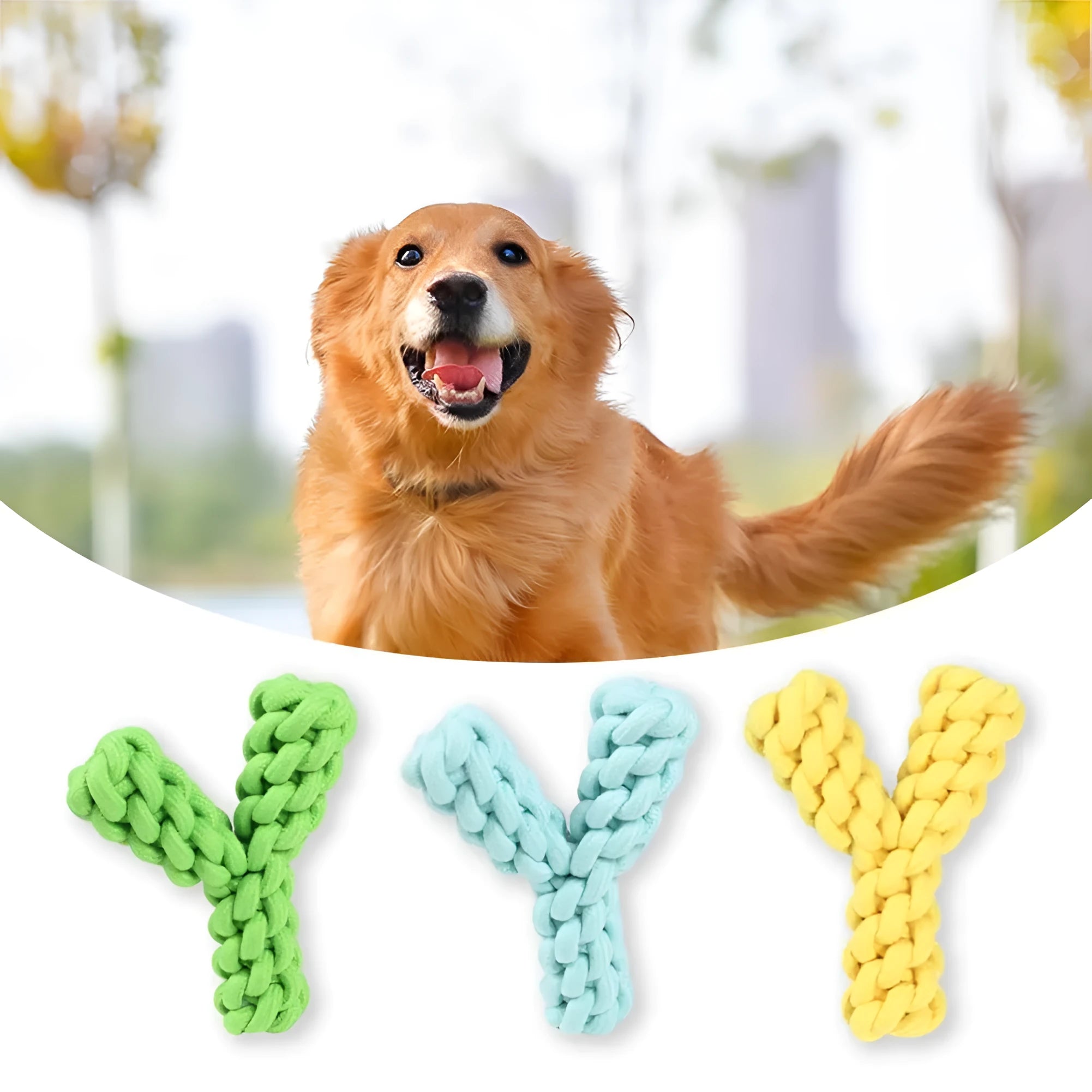 Y-shaped blue cotton rope dog toy for large breed dental health and chewing